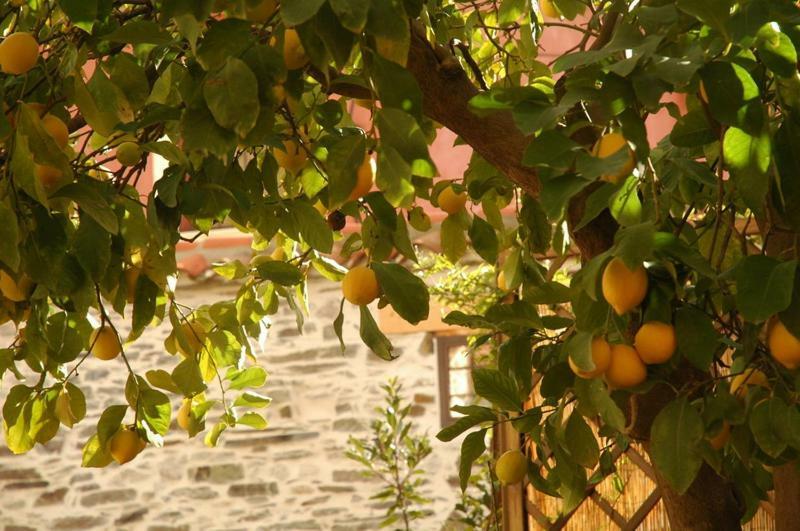 La Estrella  Casa Rural El Arco المظهر الخارجي الصورة